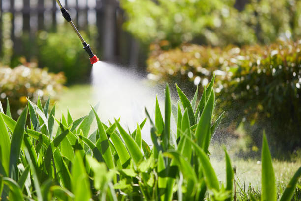 Tamper-Resistant Bait Stations for Rodents in Andalusia