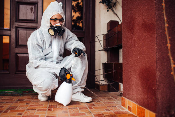 Attic and Crawl Space Rodent Treatment in Andalusia